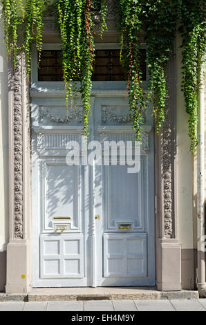 L'ombre des vignes en cascade un élégant porte blanche sur la rue Vielle du Temple, Paris. Banque D'Images