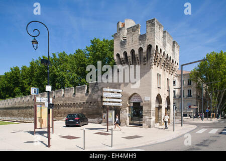 Les murs anciens, Avignon, Provence, France, Europe Banque D'Images