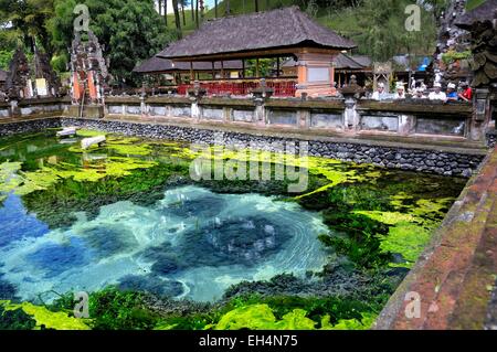 L'INDONÉSIE, Bali, Nusa Tenggara, Pura Tirta Empul, la piscine de l'eau sainte dans le temple hindou Banque D'Images