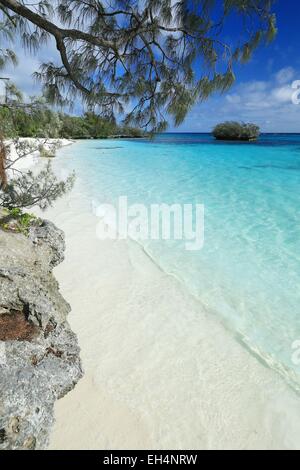 La France, Nouvelle Calédonie, les îles Loyauté, Lifou, district de Lossi Luengoni beach tribu Banque D'Images