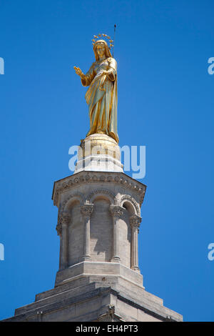 Statue de la vierge, la cathédrale, Avignon, Provence, France, Europe Banque D'Images