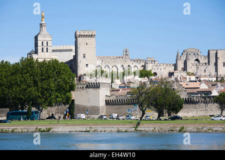 Vue sur la ville et le Rhône, Avignon, Provence, France, Europe Banque D'Images