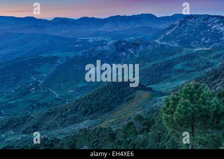 Espagne, Andalousie, Cadix, Grazalema, paysage montagneux de la Méditerranée à l'aube Banque D'Images