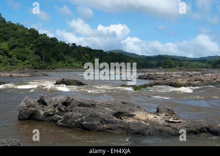 France, Guyane, Parc amazonien de Guyane (Parc amazonien de la Guyane), et de la rivière Tapanahony Lawa river confluence devenir ici le Maroni, fleuve rapids (saut) appelé saut de la grande richesse, une voiture chargée sur une pirogue se dirige vers l'amont Banque D'Images