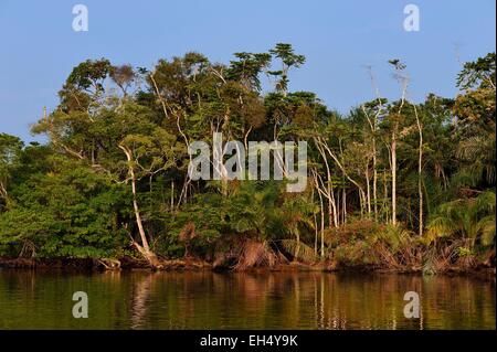 Le Gabon, Ogooue-Maritime Province, l'une des nombreuses rivières du Fernan Vaz (lagune Nkomi) Banque D'Images