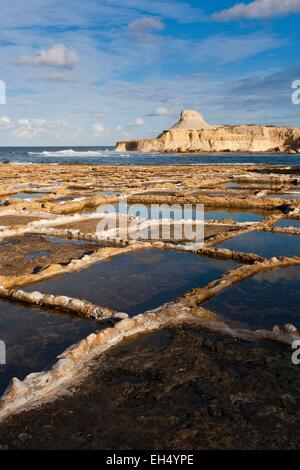 Malte, Gozo, le sel d'Xwenji encore exploité aujourd'hui Banque D'Images