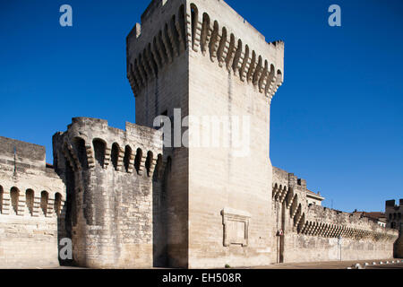 Anciens remparts et bastions, Avignon, Provence, France, Europe Banque D'Images