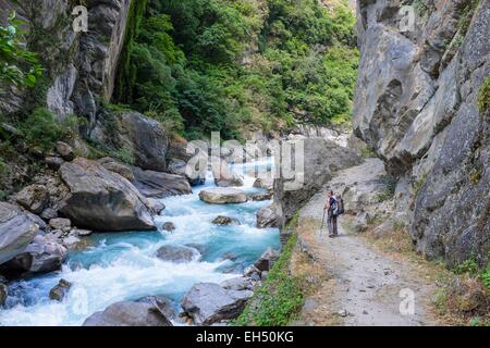 Le Népal, Gandaki zone, Tsum valley, trek le long de la Shyar Khola Banque D'Images