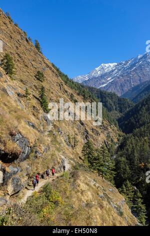 Le Népal, Gandaki zone, Tsum valley trek, le chemin entre Chumling (alt.Agrément 2386m) et Chokangparo Chekampar ou (alt.3031m) Banque D'Images