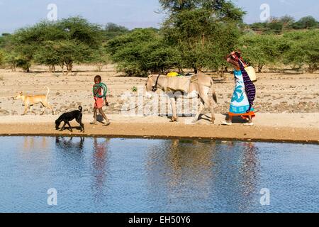 Au Kenya, le lac Magadi, à un peuple masai waterpoint Banque D'Images