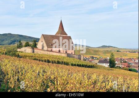 La France, Haut Rhin, Alsace, Hunawihr, intitulée Les Plus Beaux Villages de France (Les Plus Beaux Villages de France), église St Hune Banque D'Images