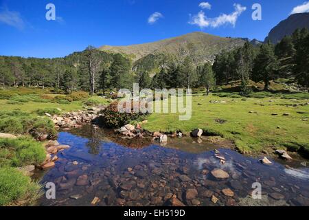 France, Pyrénées Orientales, Vernet les Bains, le chemin qui mène au sommet du Pic du Canigou (sur 2786 m de hauteur) Le pic du Canigou est une partie du réseau des grands sites de France Banque D'Images