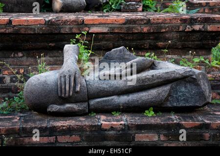 La Thaïlande, Ayutthaya, inscrite au Patrimoine Mondial de l'UNESCO, Wat Mahathat, broken statue de Bouddha Banque D'Images