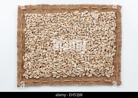 Cadre de la jute et les graines de tournesol, couché sur un fond blanc Banque D'Images