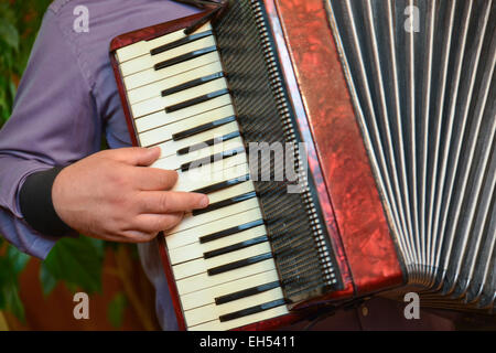 L'accordéon et les doigts d'un chanteur dans un mariage journée spéciale Banque D'Images