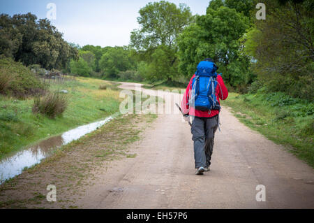 Un pèlerin, lors d'un pèlerinage à pied du Camino à Saint-Jacques-de-Compostelle, le long d'une longue route poussiéreuse à travers le paysage rural de l'Espagne Banque D'Images