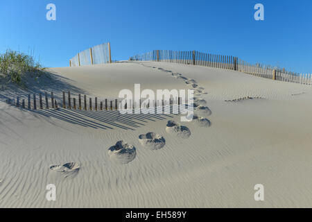 Belle Dune de sable avec herbes et jolie Clôture Banque D'Images