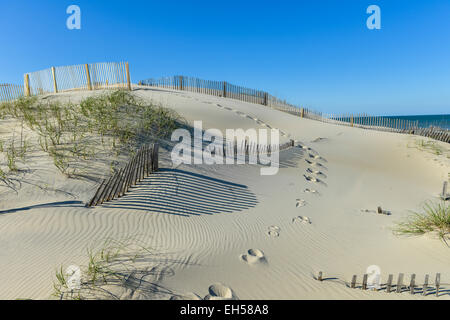 Belle Dune de sable avec herbes et jolie Clôture Banque D'Images