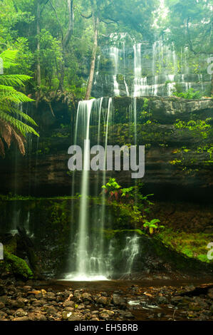 Russell Falls, Mt Field NP, Tasmanie, Australie Banque D'Images