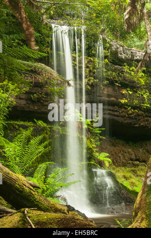 Russell Falls, Mt Field NP, Tasmanie, Australie Banque D'Images