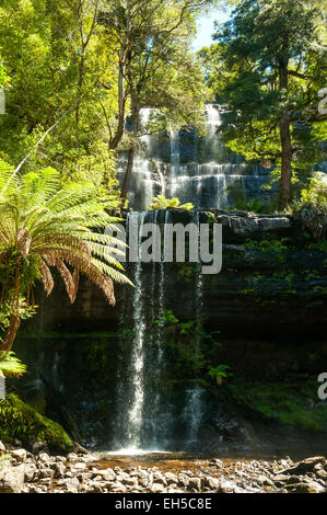 Russell Falls, Mt Field NP, Tasmanie, Australie Banque D'Images