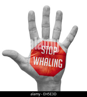 La baleine Stop Sign Painted - main ouverte posée, isolé sur fond blanc. Banque D'Images