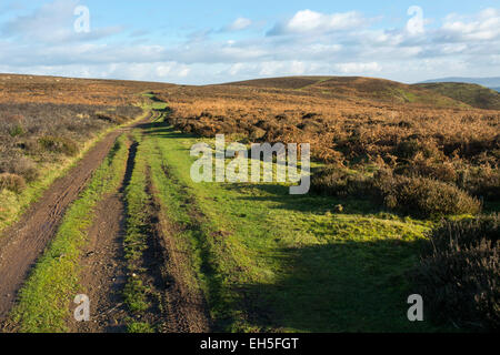 La voie à travers le long Mynd, Shropshire,, un jour d'hiver Banque D'Images