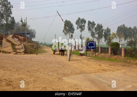 Un homme dirige un panier de bétail à travers la frontière d'Indiens de Pul, Moran à proximité du site historique de Pul, Kanjri. Banque D'Images