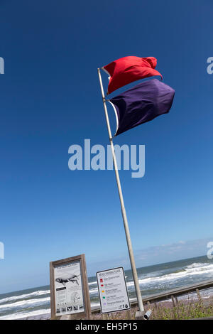 Drapeaux d'avertissement de plage, Flagler Beach, Florida, USA Banque D'Images