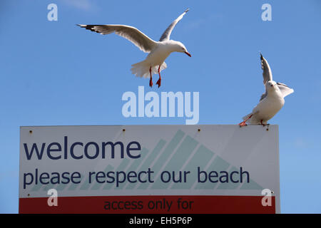 Bec cerclé rouge sur ce qui concerne notre plage signer Waikanae Beach Nouvelle Zélande Banque D'Images