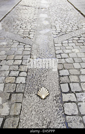 Coquille Saint-Jacques sur le sol, pour les pèlerins du signal détail à Santiago Banque D'Images