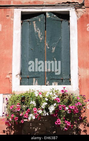 Vieille fenêtre avec les pots de fleurs au printemps Banque D'Images