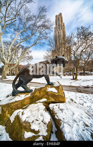 La panthère statue en face de la cathédrale de l'apprentissage sur le campus de l'Université de Pittsburgh. Banque D'Images