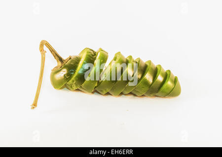 Tranches de jalapeno vert formant un tout jalapeno, isolé sur fond blanc Banque D'Images