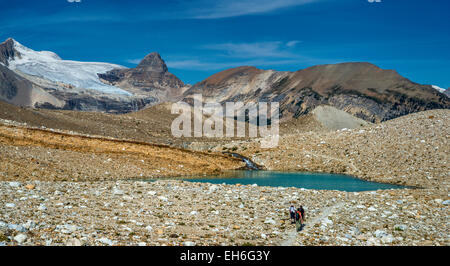 Randonneurs sur le sentier Iceline, Glacier des Poilus, montagne, Whaleback Canadian Rockies, Parc Nat Yoho, Colombie-Britannique, Canada Banque D'Images