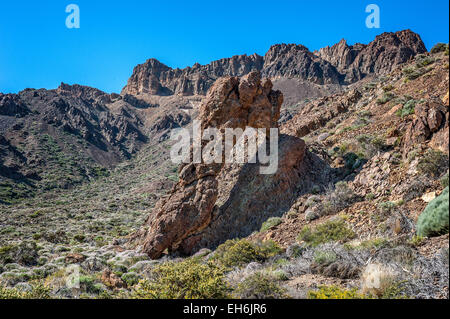 Canaries, Tenerife, volcan Teide Chaussure rock Queen , lave volcanique bizarre . Banque D'Images