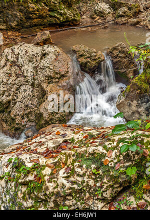 La Russie, l'Adygea . Automne doré. Les cascades de la creek Rufabgo , à 2 km du village , Kamennomostsky blanc en amont . Banque D'Images