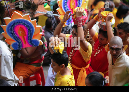 Les pèlerins hindous exerçant son pot à lait kavaldi escalade Batu Cave temple, la Malaisie pendant Thaipusam festival le 3e février 2015. Banque D'Images