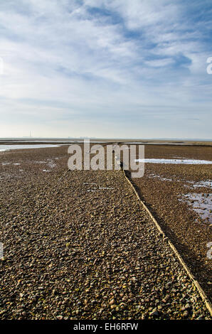 La marée s'éloigne d'un kilomètre et demi du rivage dans la zone Southend on Sea à marée basse, laissant de vastes zones de boue exposées dans l'estuaire de la Tamise, au Royaume-Uni Banque D'Images