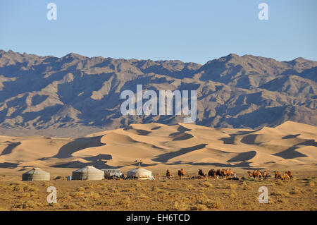 Khongoryn Els Sand Dunes avec des chameaux et Geers/Yourtes dans le désert de Gobi, l'arrière-plan Banque D'Images