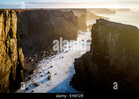 Vue vers Elegug, Pile, Pembrokeshire Coast National Park Merrion, Pembrokeshire, Pays de Galles, Royaume-Uni, Europe. Banque D'Images