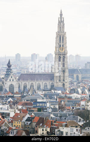 Vue aérienne sur la cathédrale de Notre Dame d'Anvers, Belgique. Banque D'Images