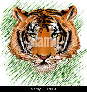 Illustration avec tiger head against abstract background herbe dessiné dans un style croquis au crayon Banque D'Images