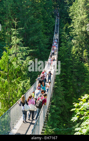 Le Pont Suspendu de Capilano, à North Vancouver, C.-B.). Le Canada. Pont est suspendu 270 pieds (70 m) au-dessus de la rivière Capilano. Banque D'Images