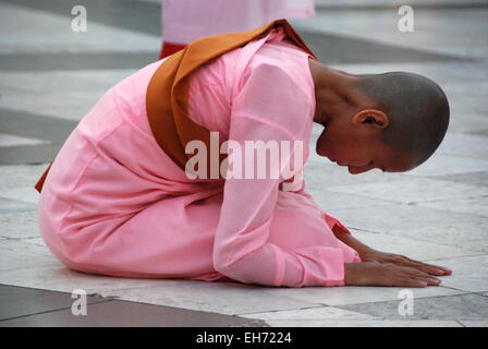 Les nonnes en rose priant, Paya Shwedagon, Yangon Banque D'Images