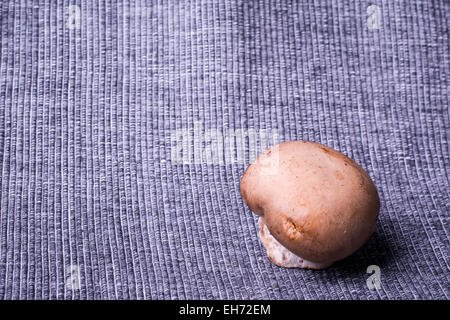 Champignons frais, champignon brun fond textile Banque D'Images