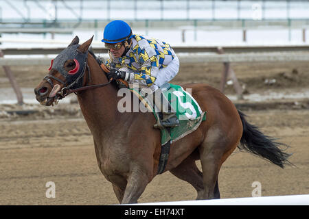 Ozone Park, New York, USA. 7 mars, 2015. 7 mars 2015 : © csm/Alamy Live News Banque D'Images