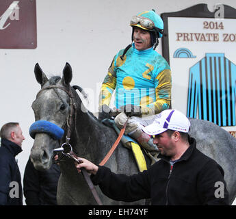 La Jamaïque, New York, USA. 7 mars, 2015. 7 mars 2015 : El Kabeir avec C.C. Lopez remporte la 63e marche de la classe III Gotham Stakes pour 3 ans, dépassant de 1 à 1/16 km hippodrome Aqueduct. Formateur : John Terranova. Propriétaire : Zayat d'équitation. Sue Kawczynski/ESW/CSM/Alamy Live News Banque D'Images