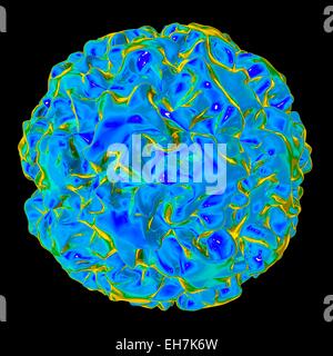 Des particules du virus du papillome humain, artwork Banque D'Images