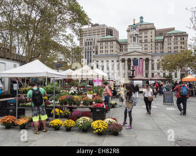 Greenmarket en face de Brooklyn Borough Hall, Brooklyn, New York, États-Unis d'Amérique, Amérique du Nord Banque D'Images